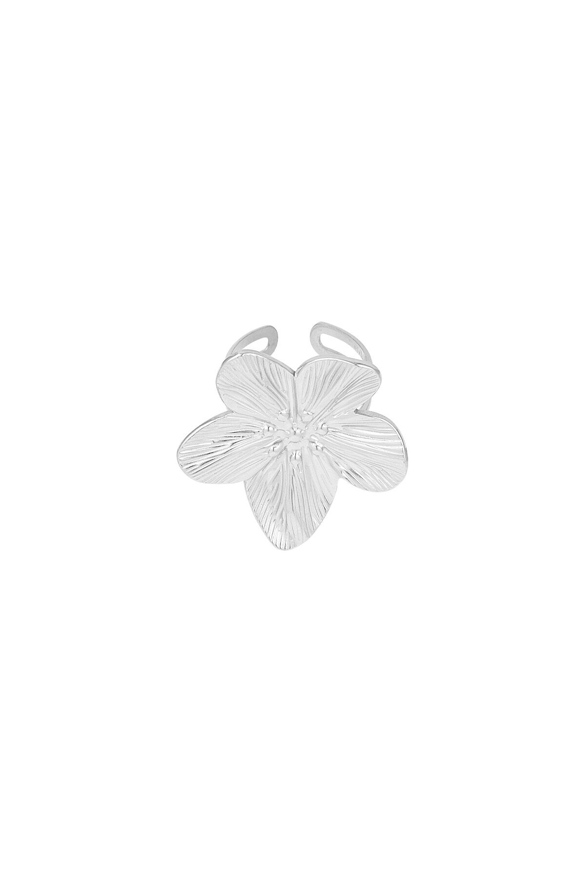 Silver Color/One Size Picture2