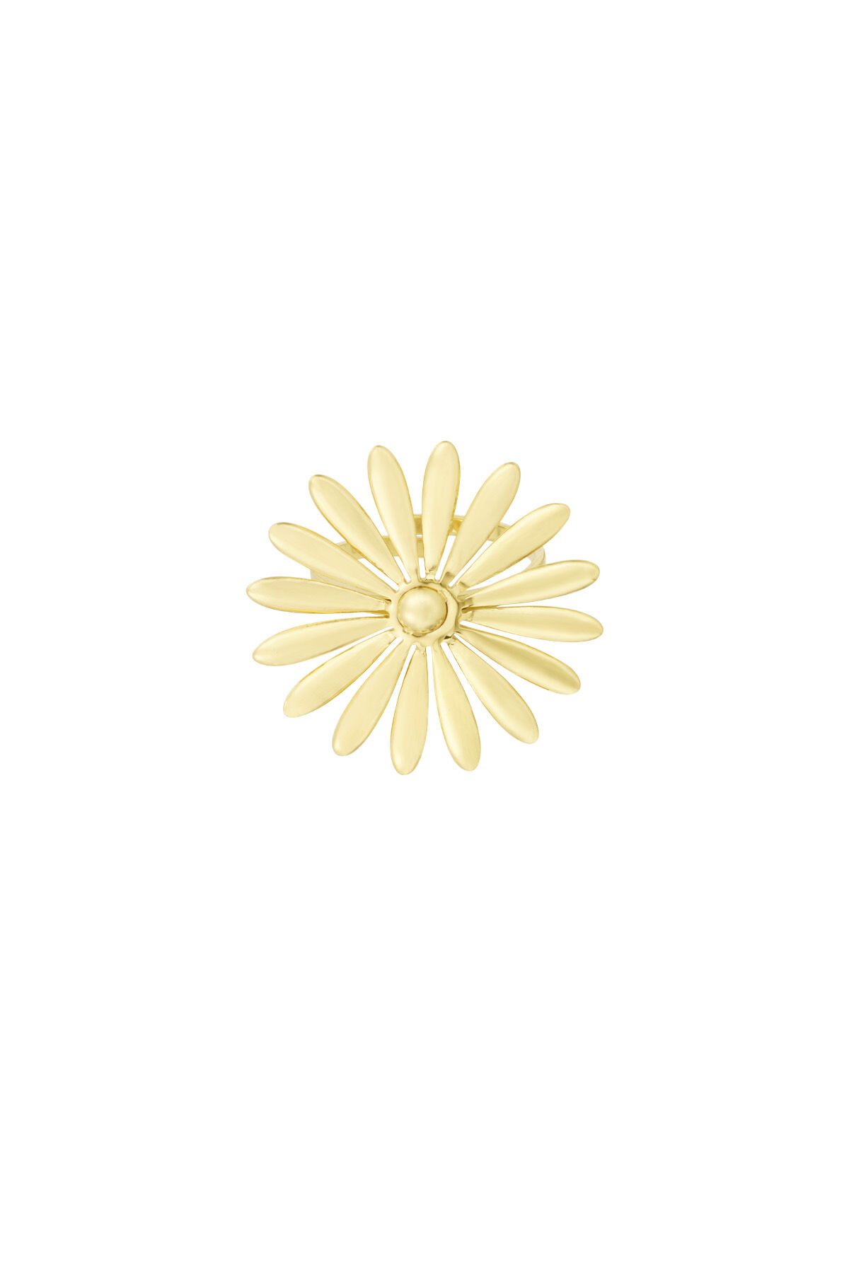 bloomy babe ring h5