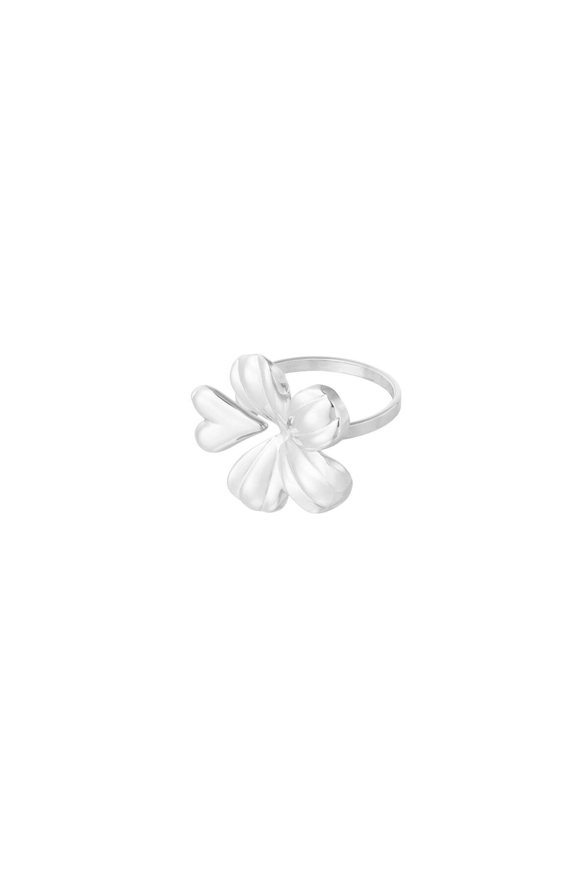 couleur argent/Taille unique Image2