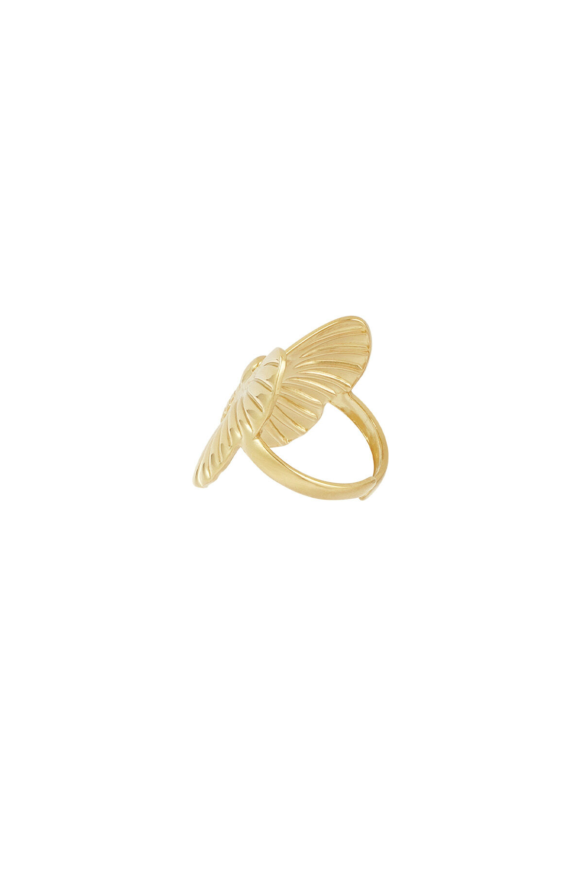 anello fly high h5 Immagine3