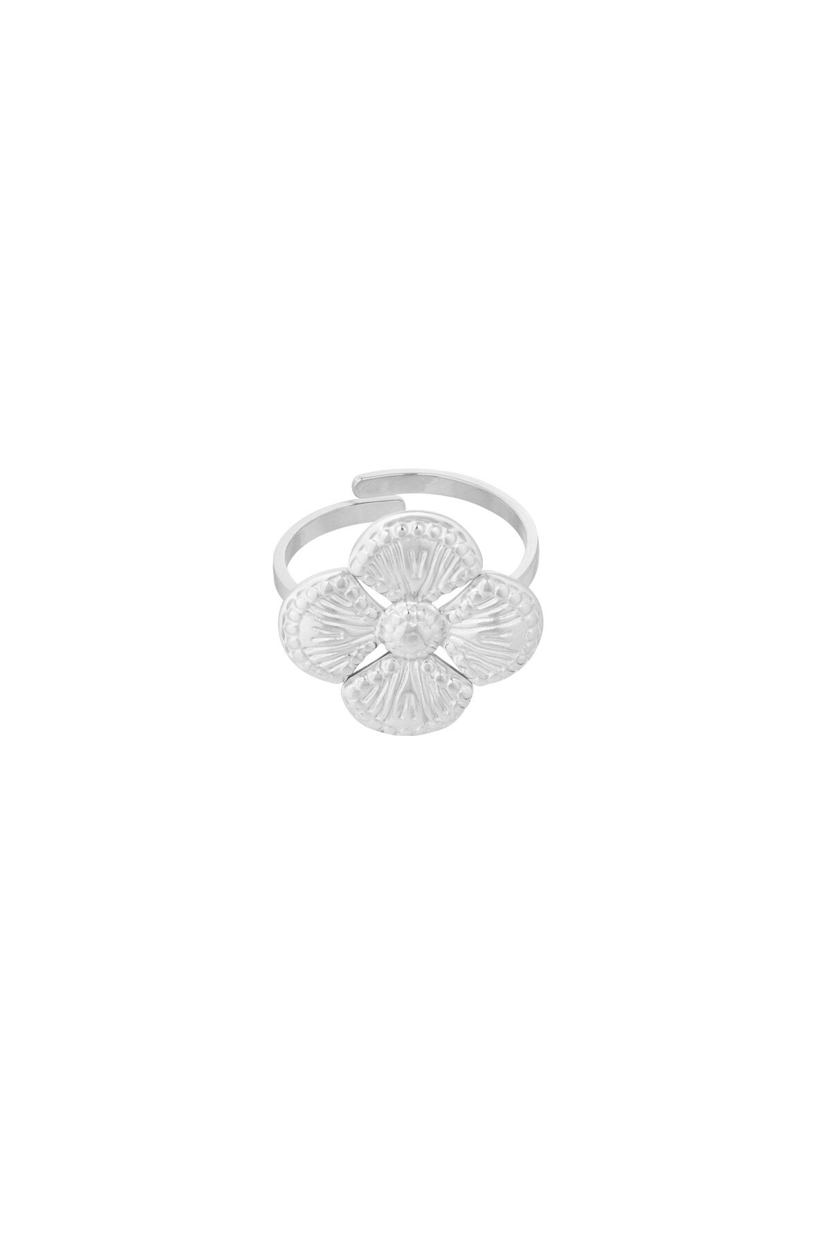 Silver Color/One Size Picture2