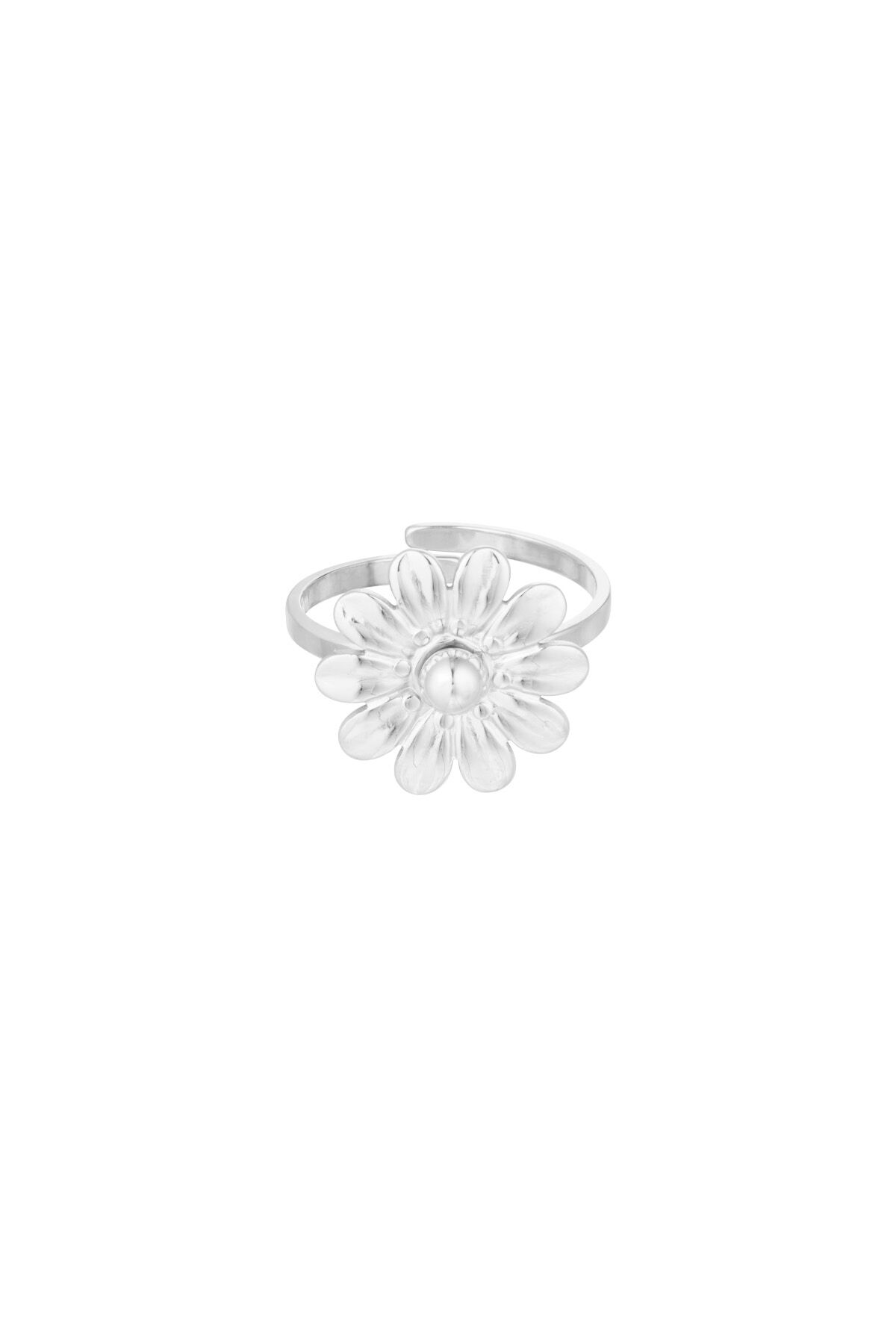 couleur argent/Taille unique Image2