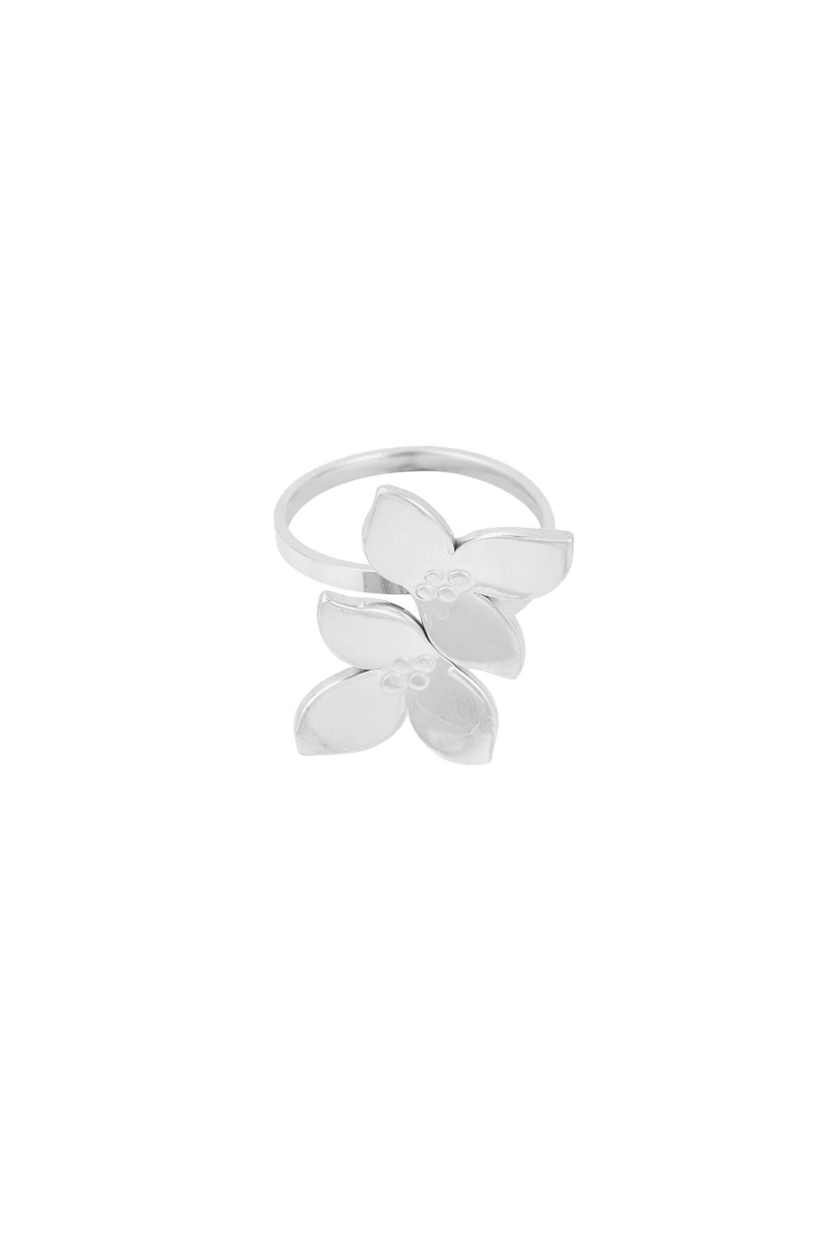 Silver Color/One Size Picture2
