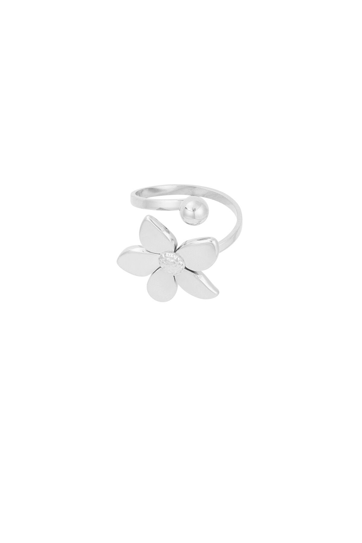 Silver Color/One Size Picture2