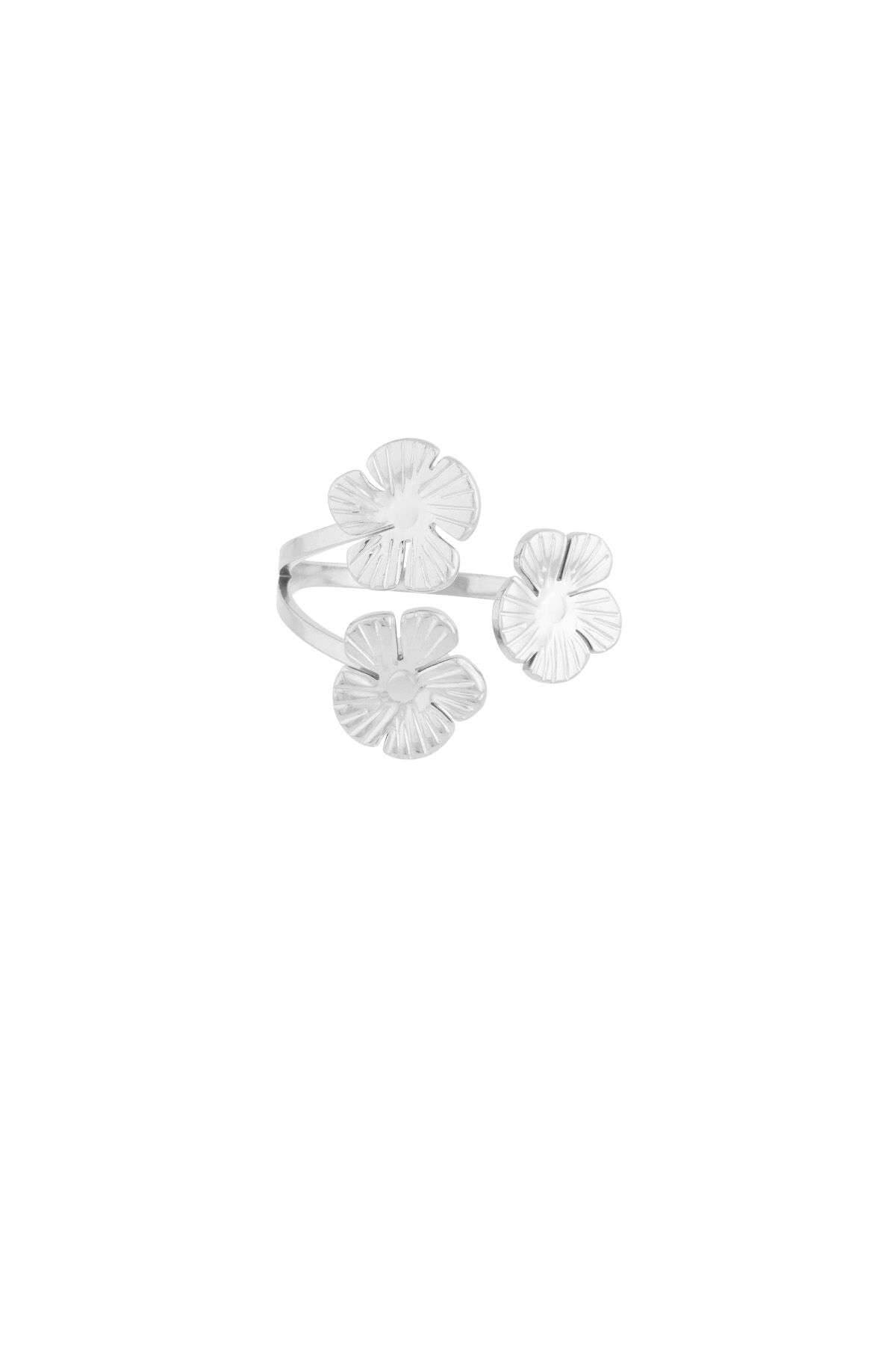 Silver Color/One Size Picture2