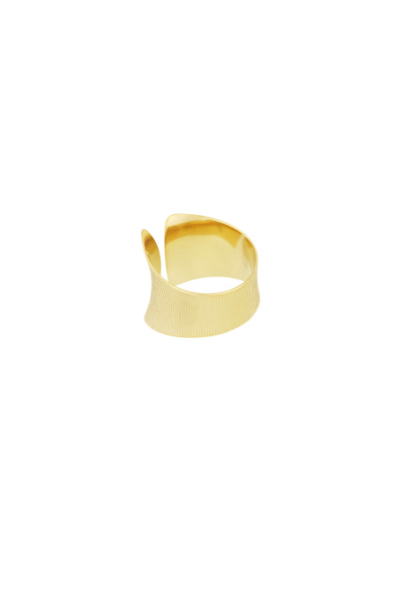 subtle elegance ring 2