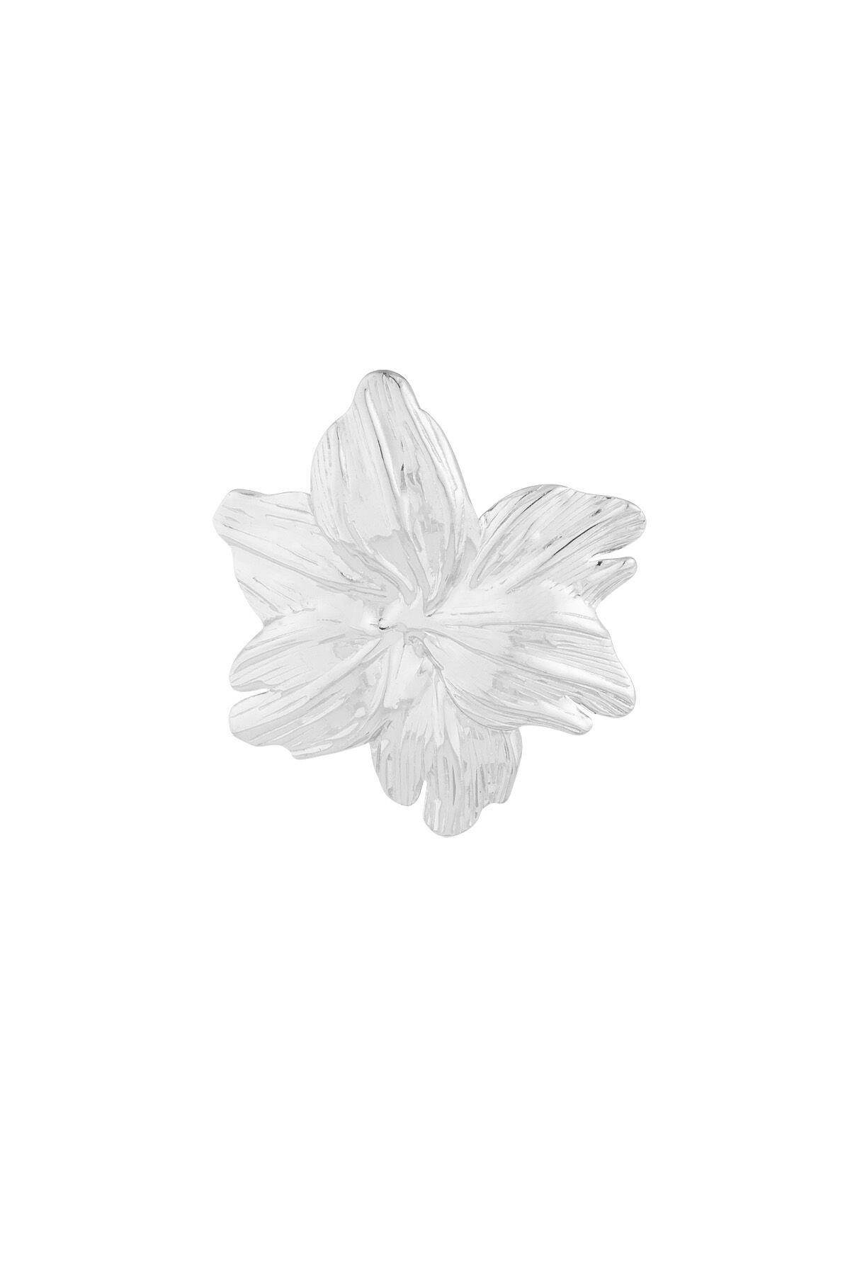 Silver Color Picture2