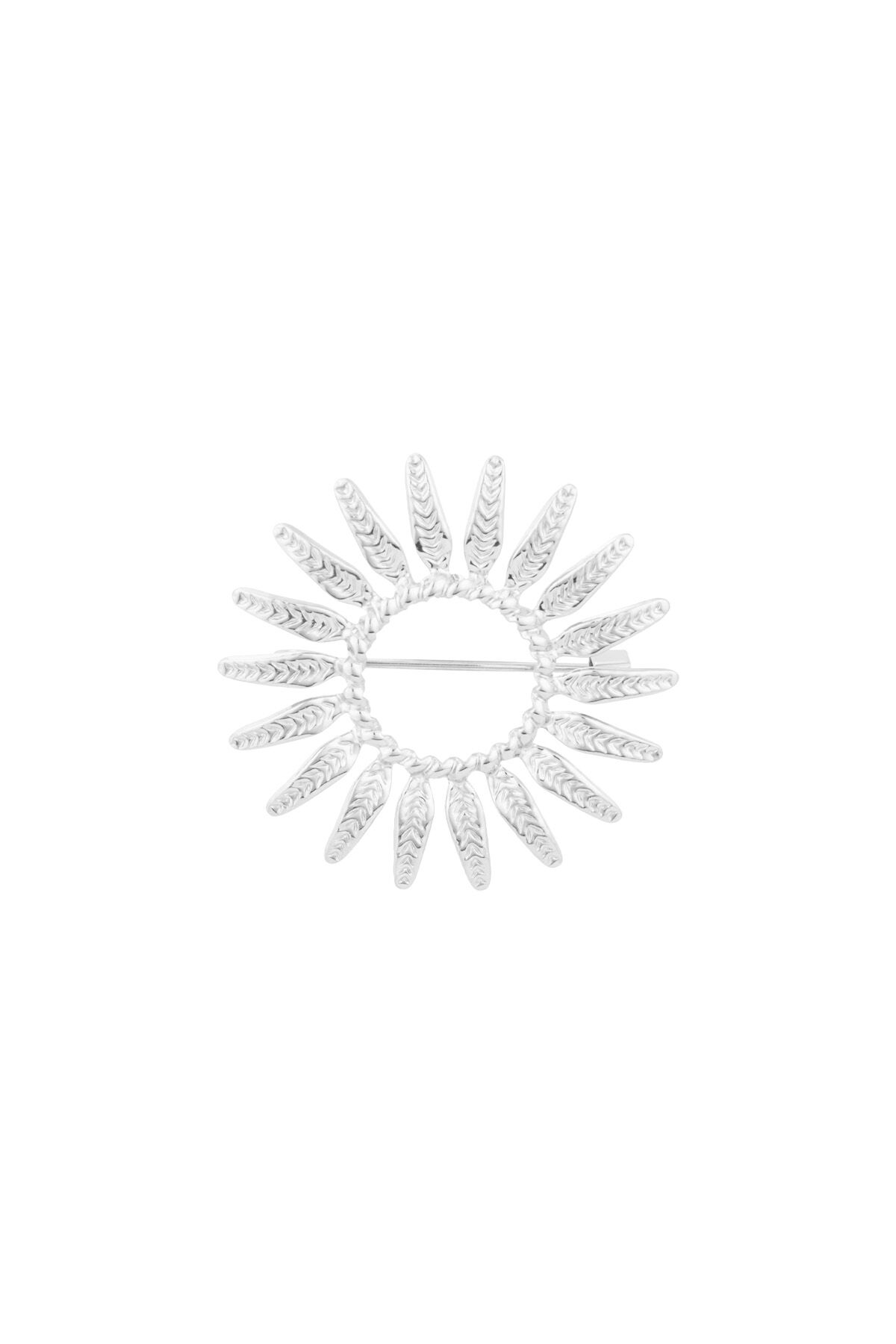 couleur argent Image2