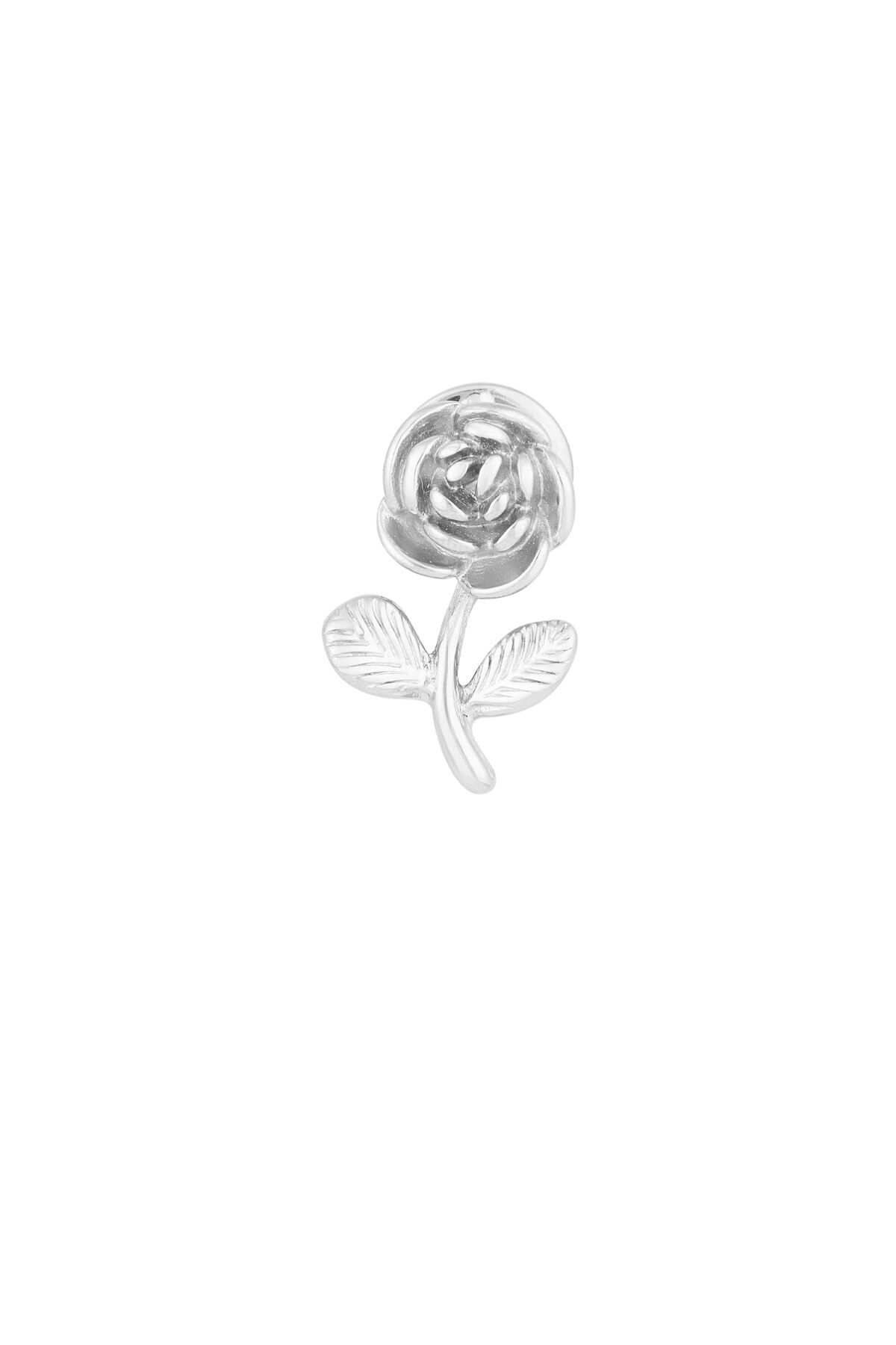 Silver Color Picture2