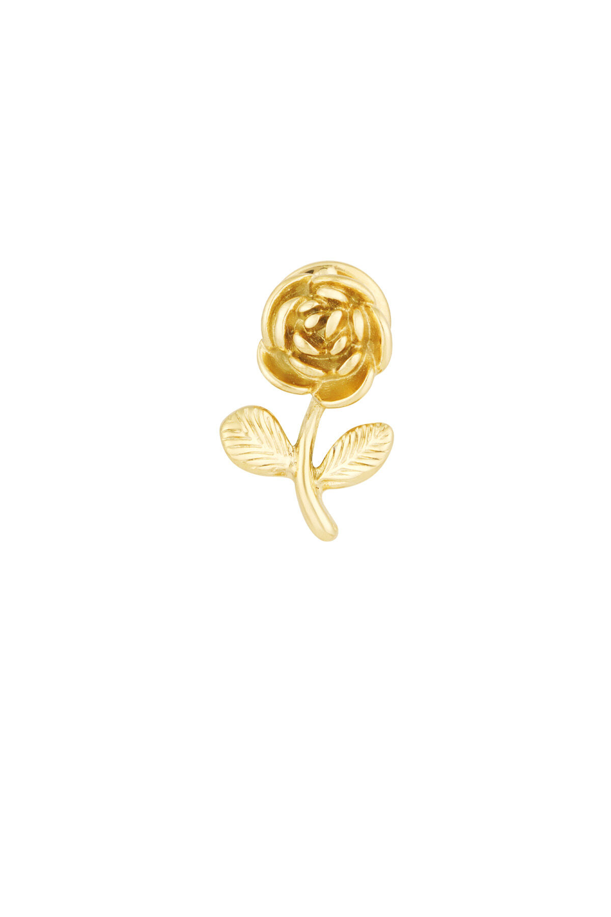 Gold Color 