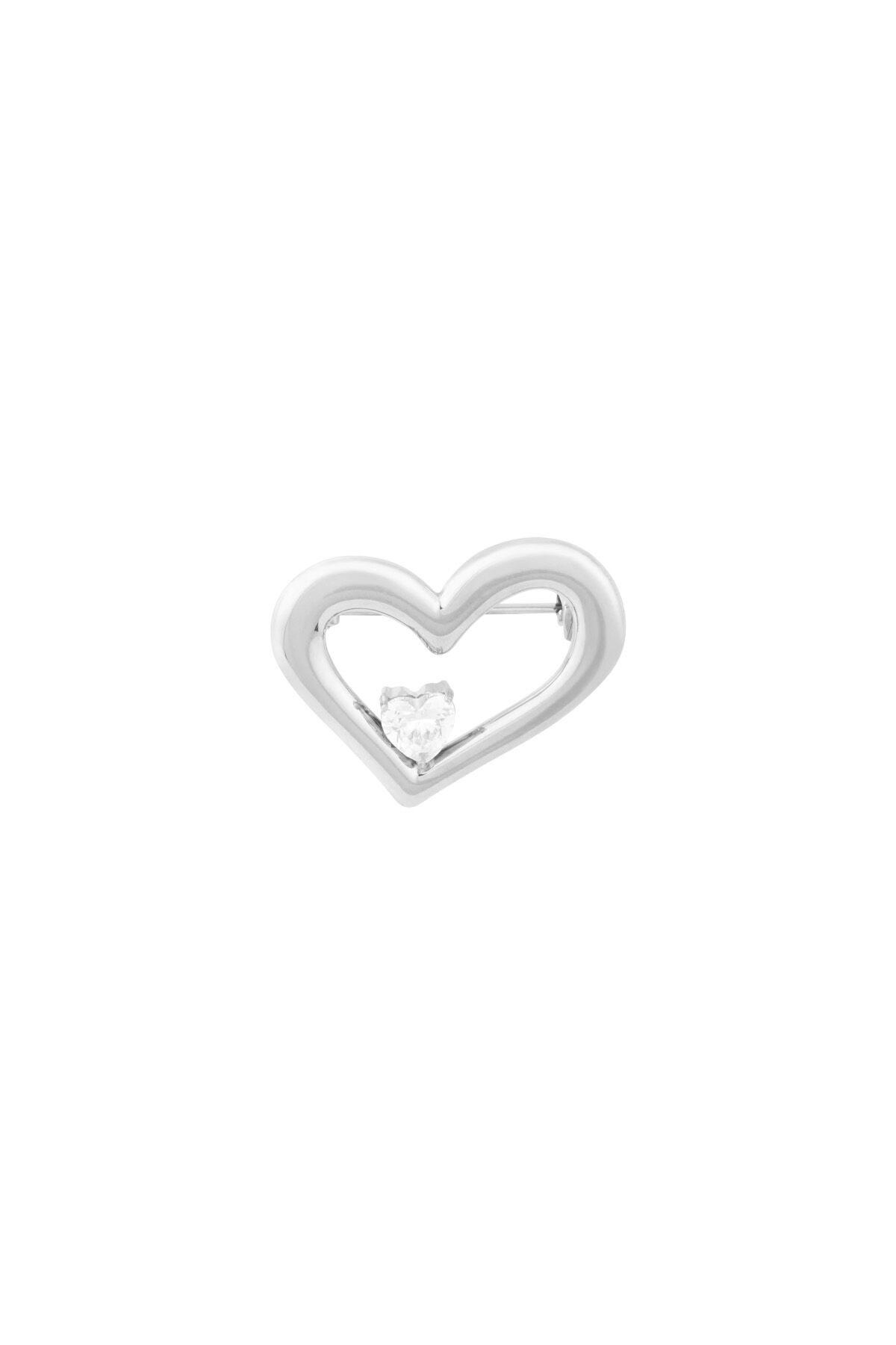 Silver Color Picture2