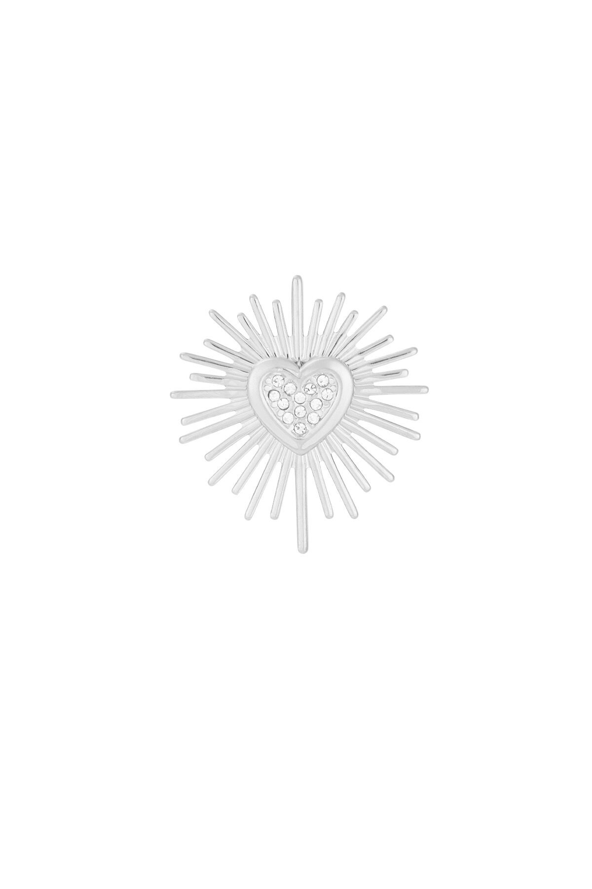 Silver Color Picture2