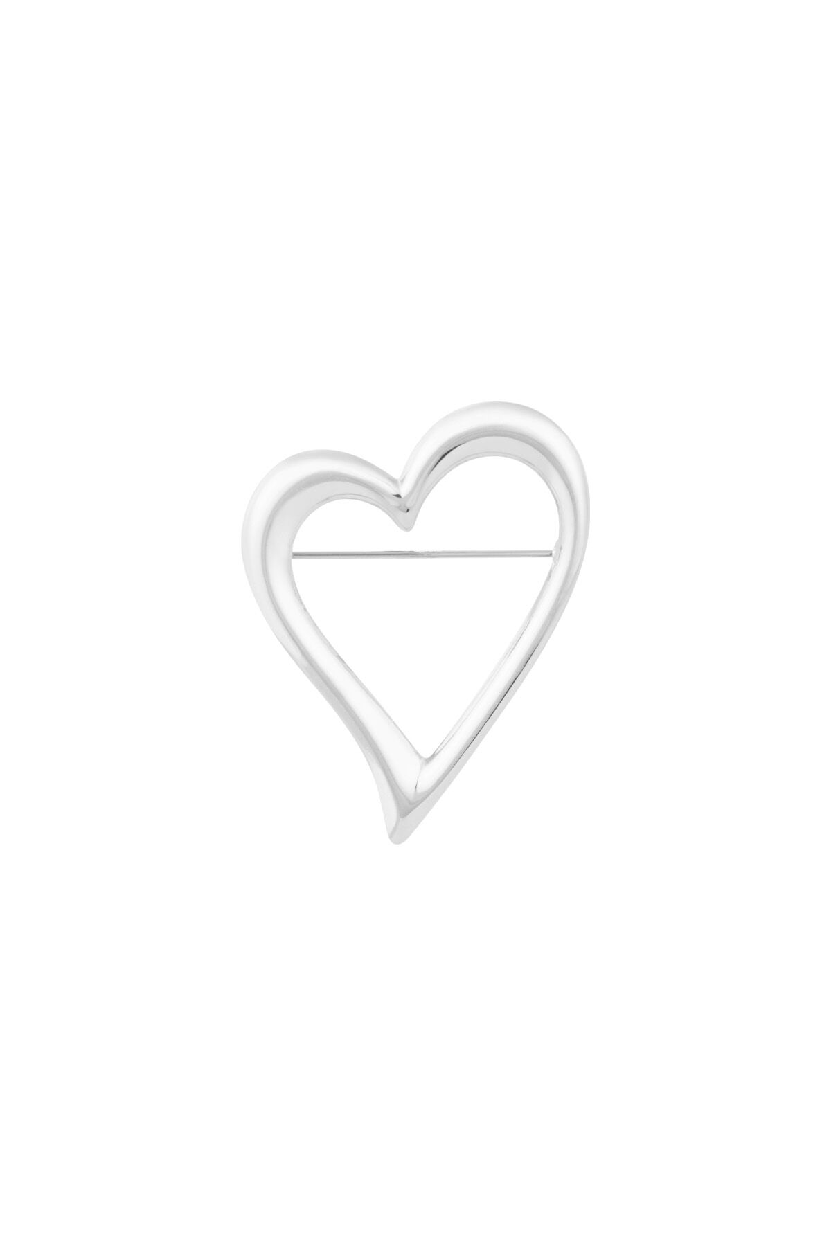 Silver Color Picture2