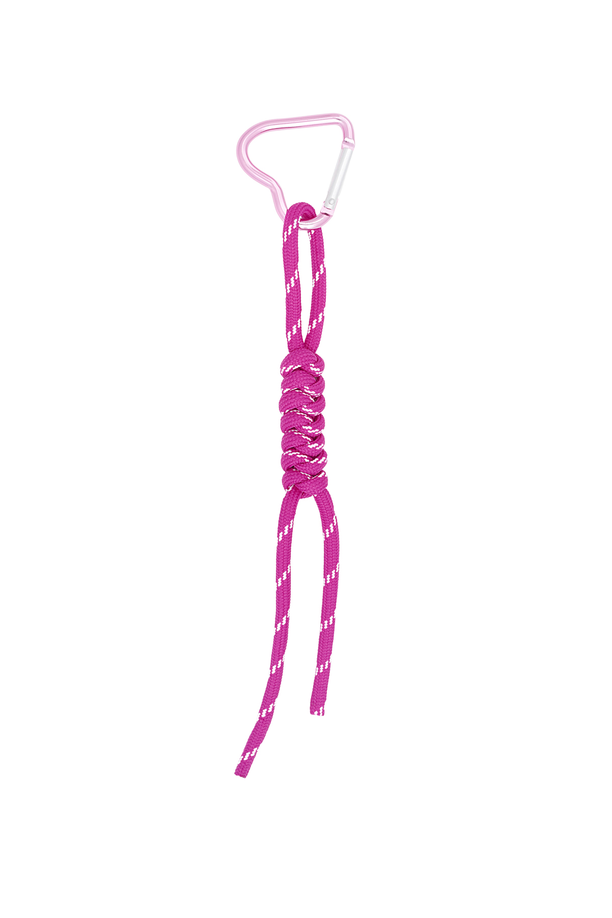 Fuchsia Picture4