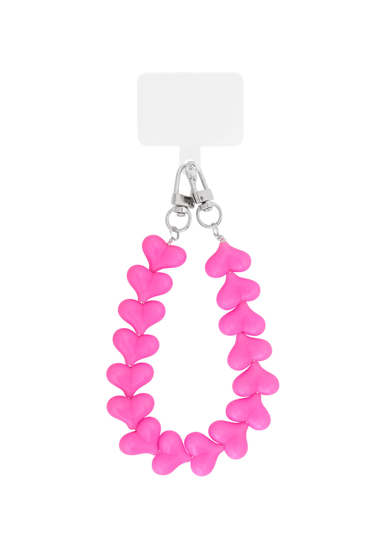 Fuchsia Picture4