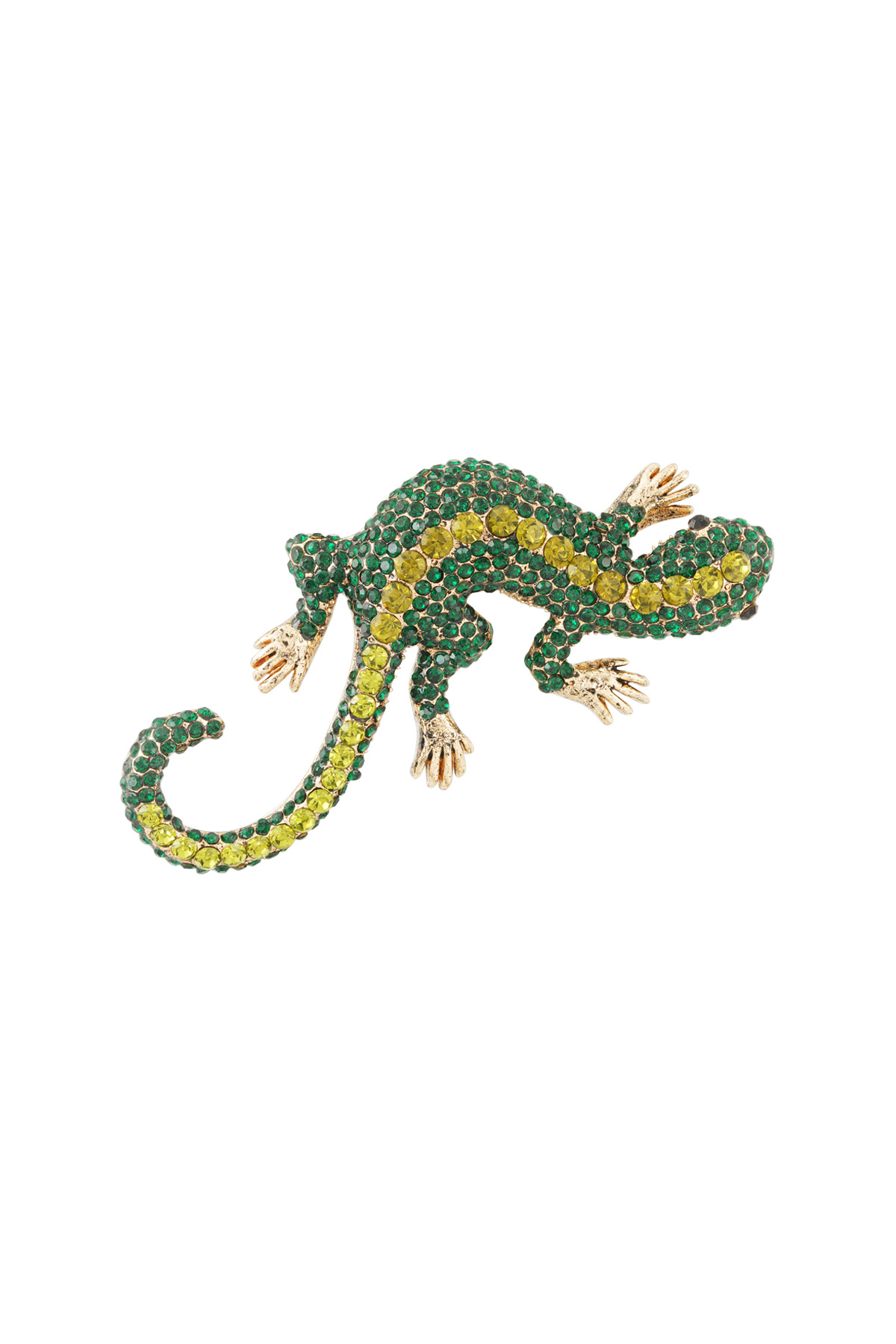 Salamander Brooche 