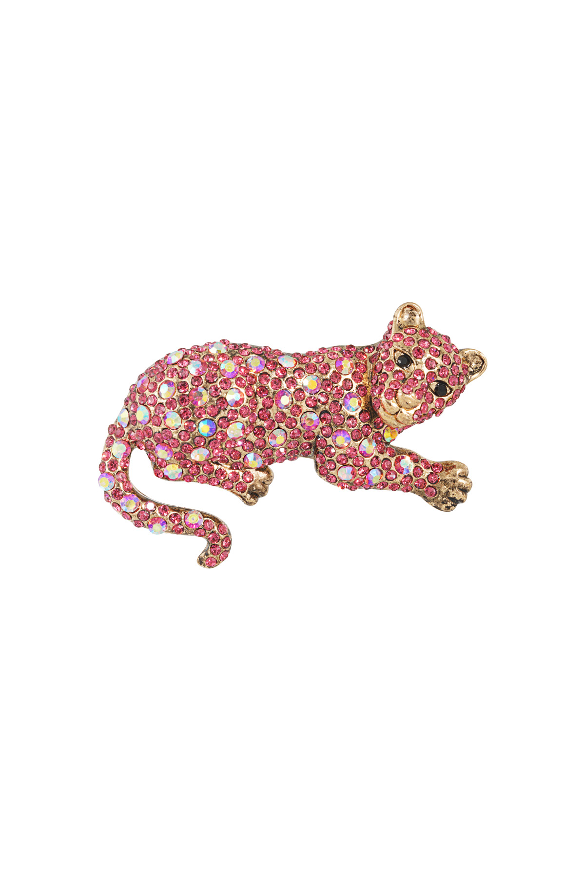 Leopardenbrosche 2