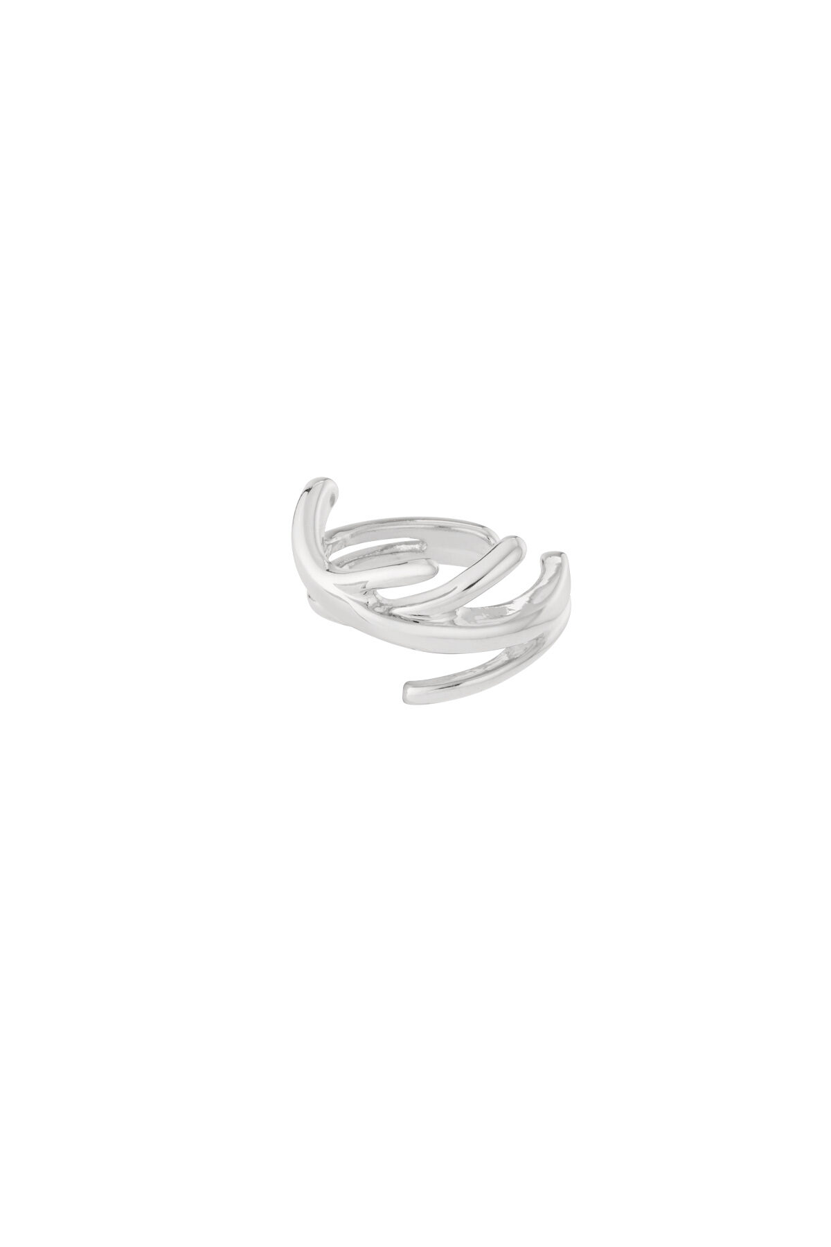 Silver Color Picture2