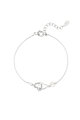 couleur argent Image2