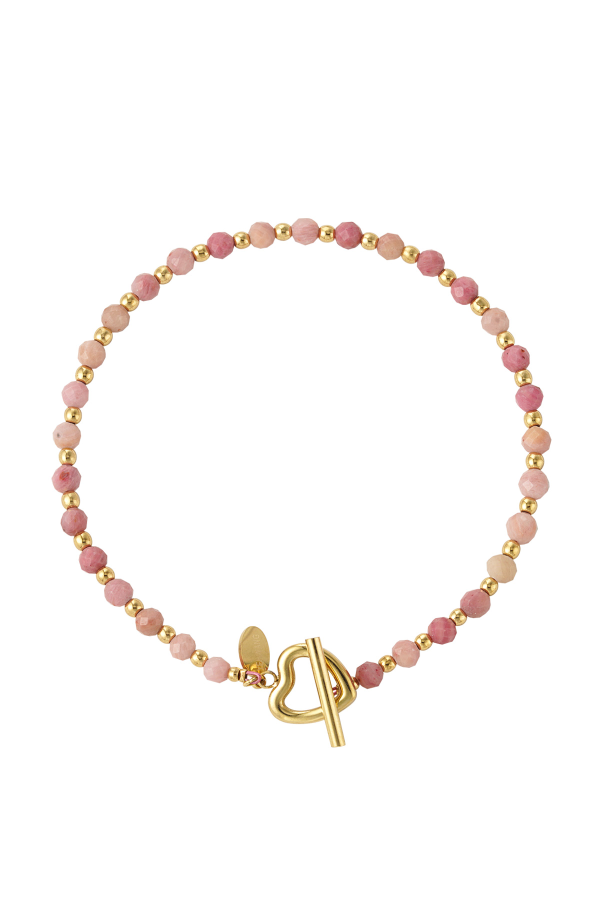 Rosa Imagen6
