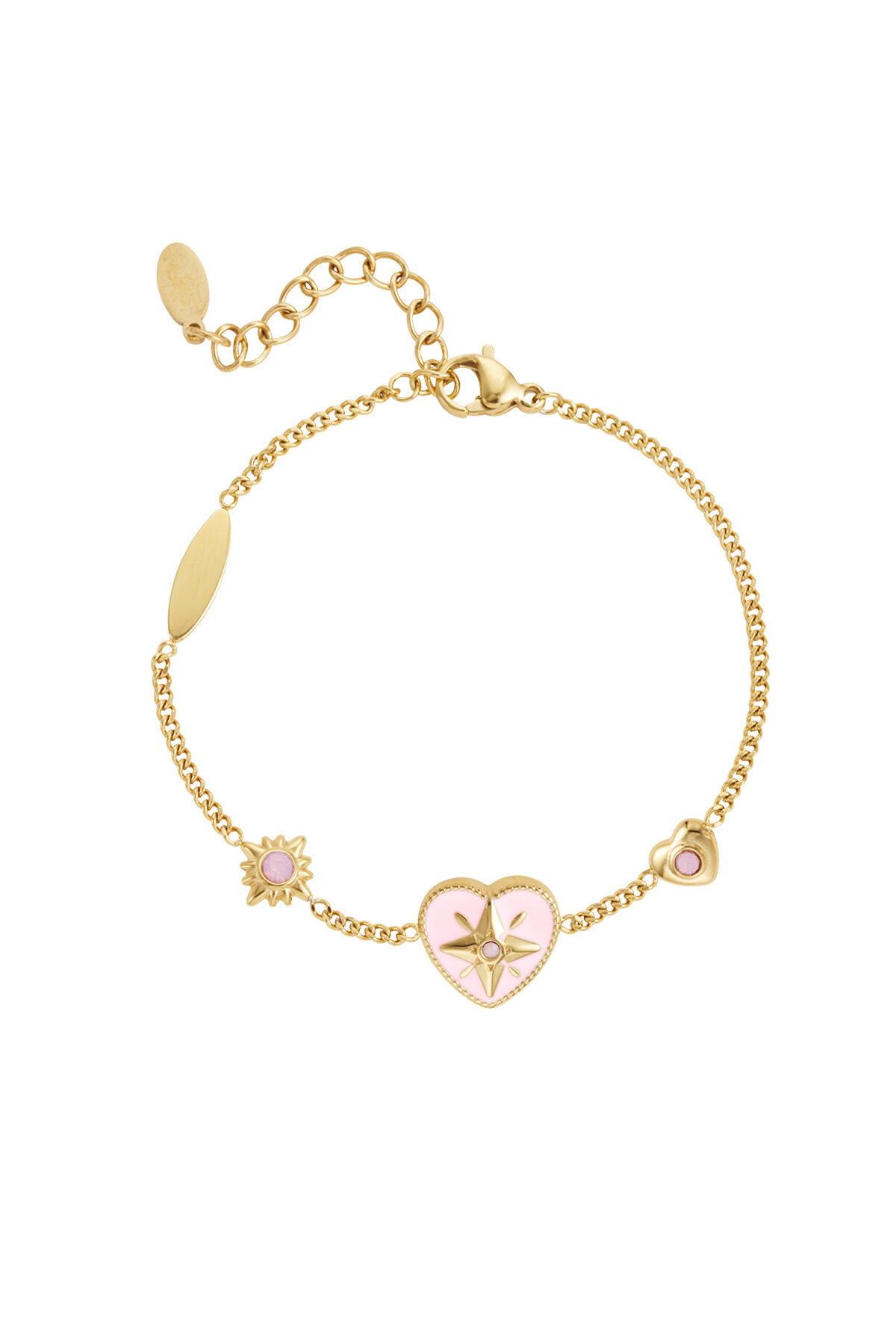 Rosa Imagen3