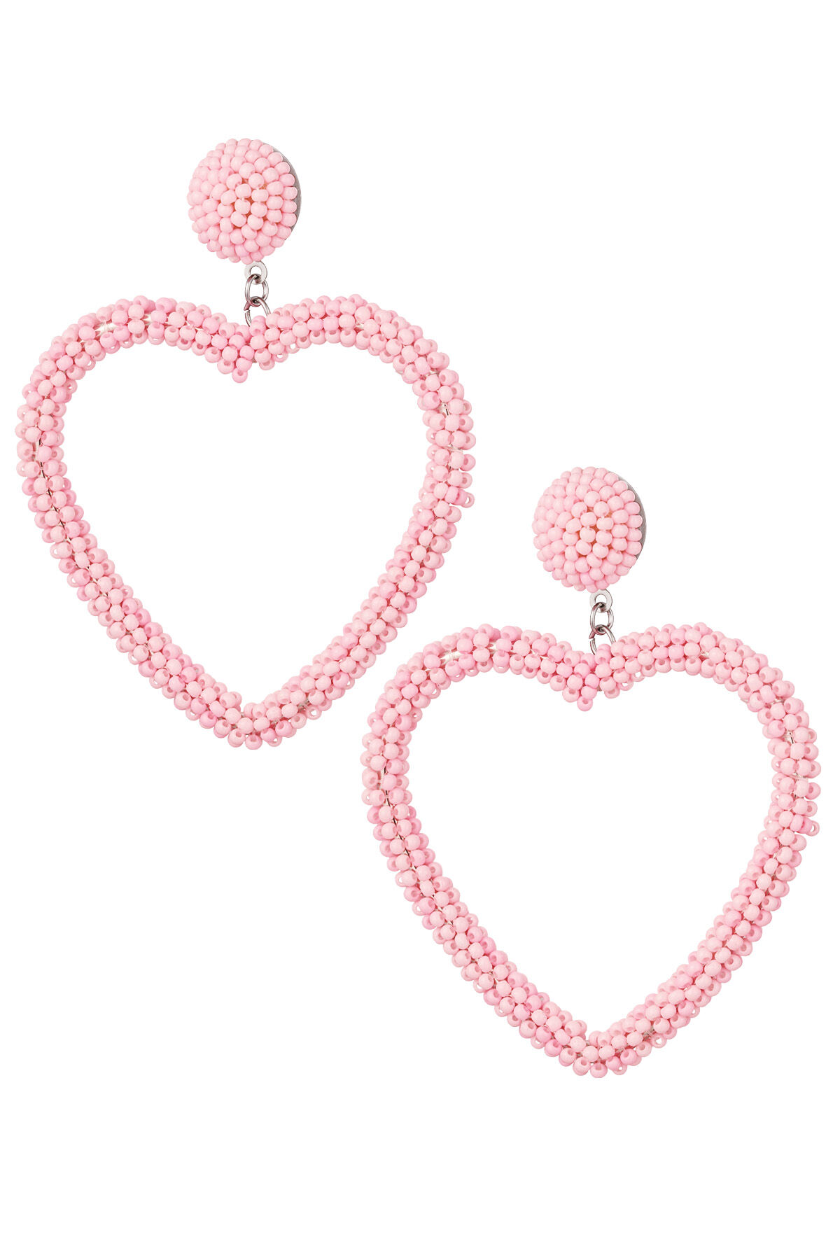 Rosa baby Immagine2