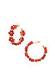 Red Picture4