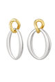 Colore oro e argento