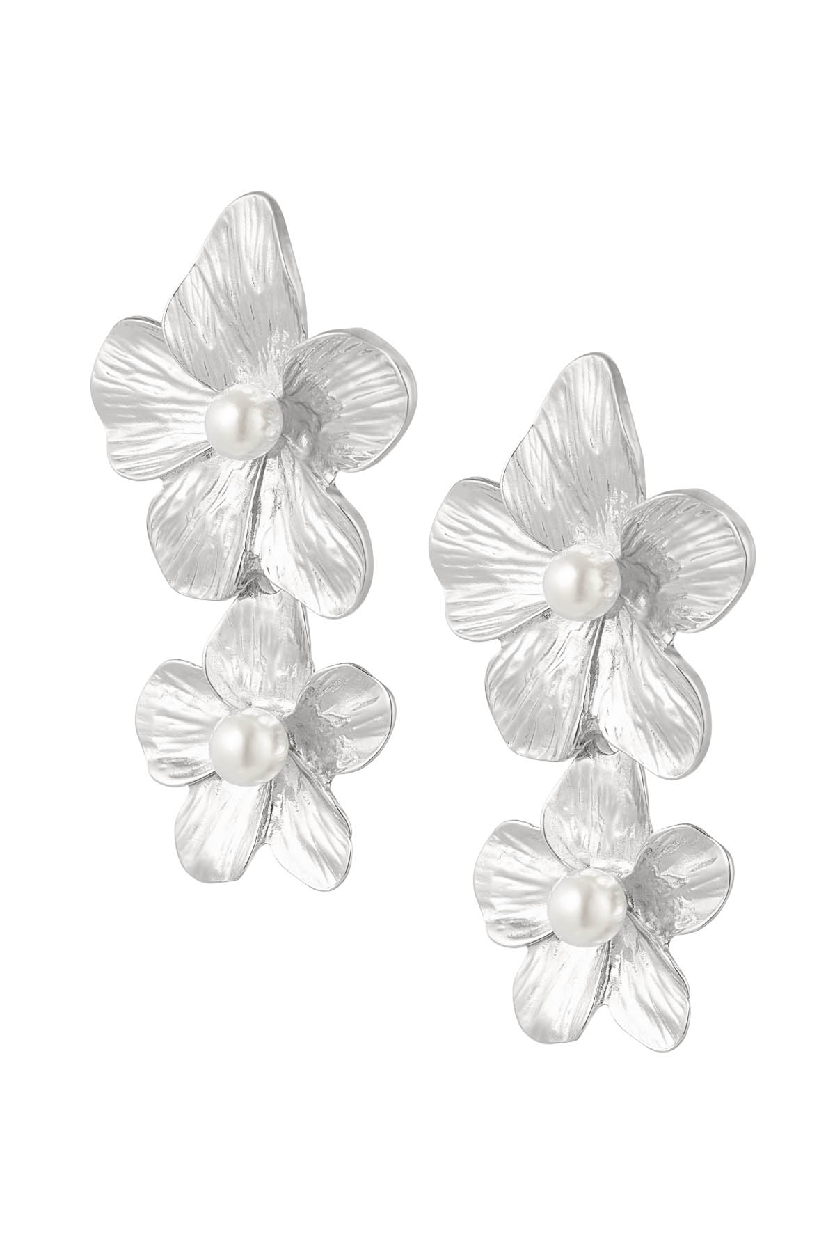 couleur argent Image2
