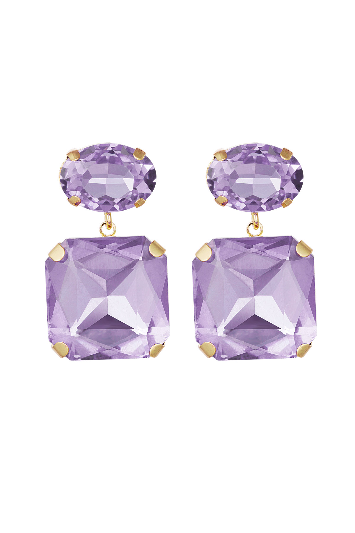 Viola Immagine4