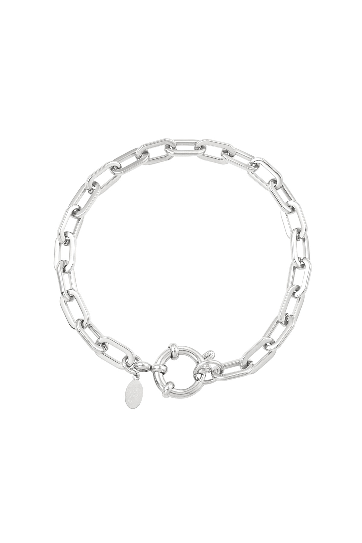 Silver Color Picture2