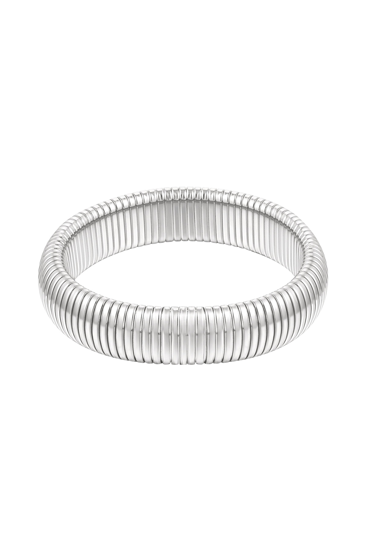 couleur argent Image2