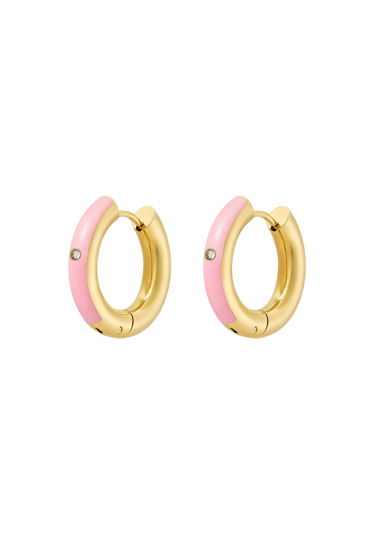 Rosa Imagen2