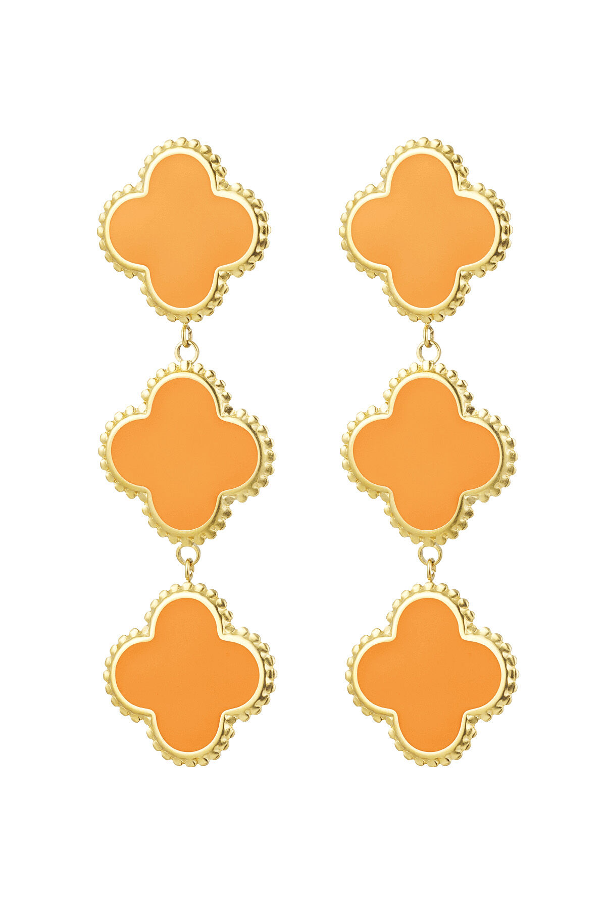 Orange Picture6