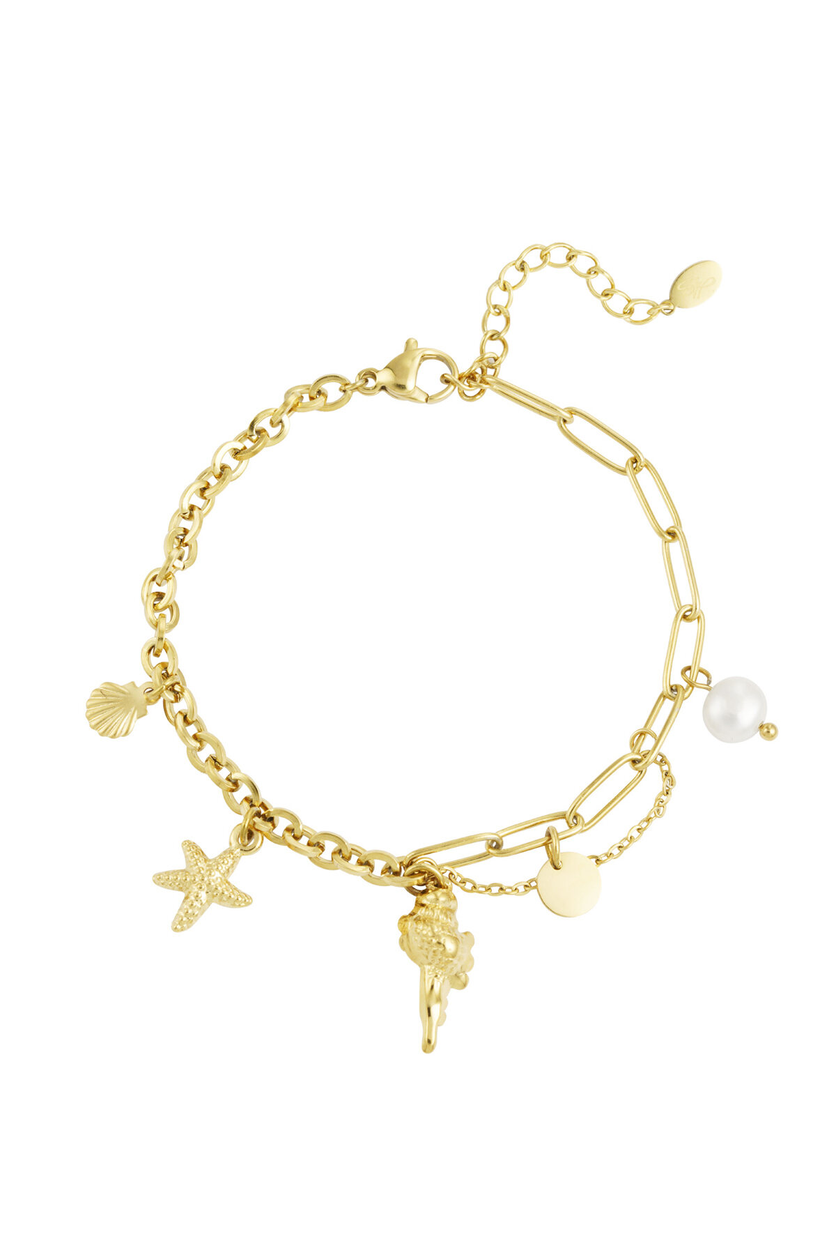 ciondoli per bracciale a maglie h5