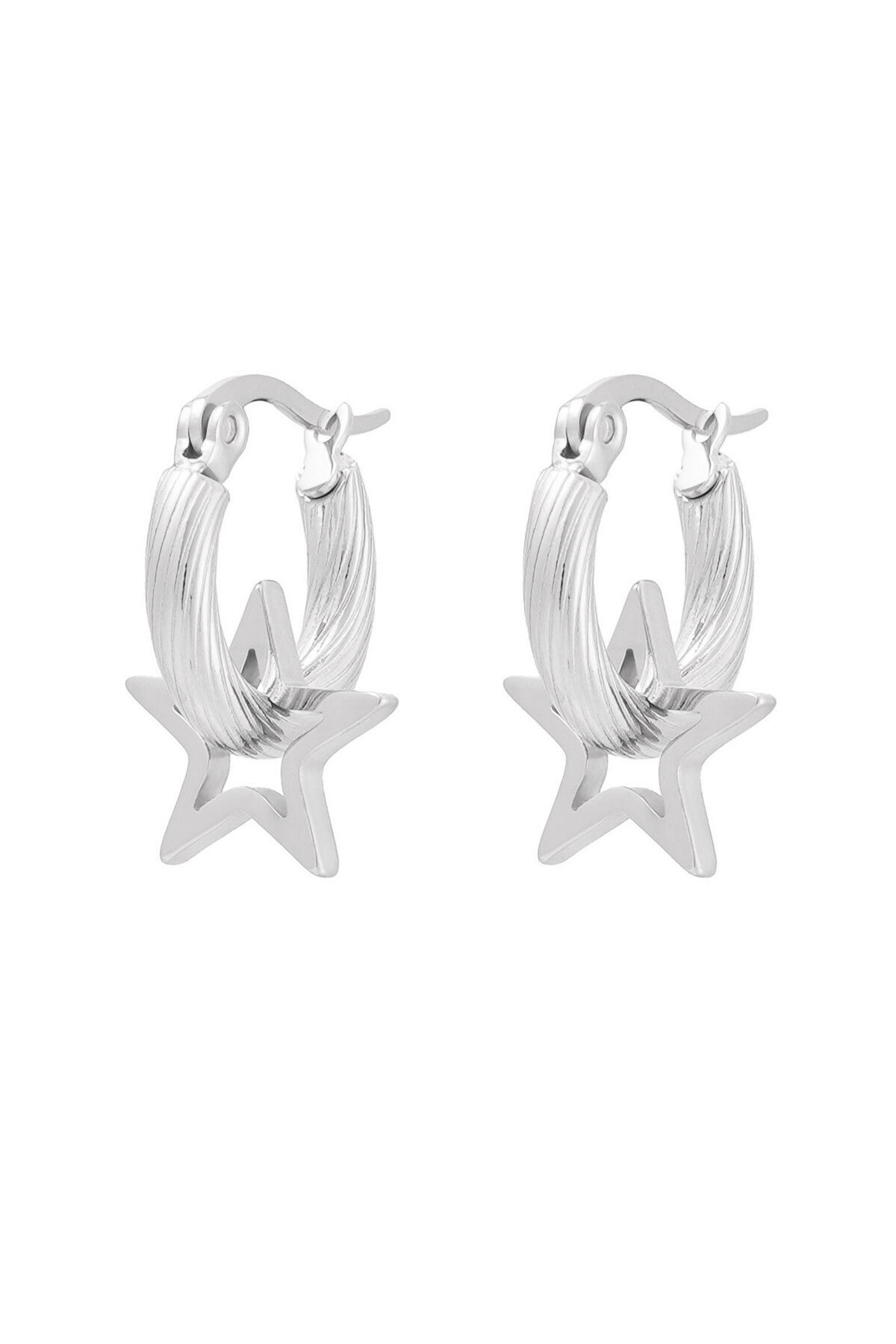 couleur argent Image2