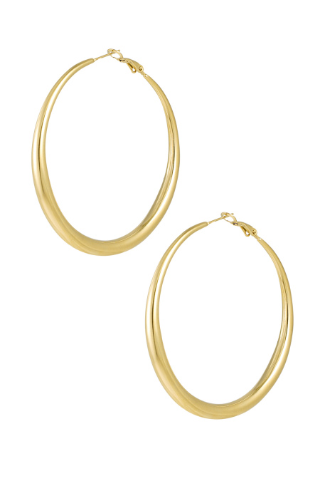 Basic Earrings With Variety - Silver Color Color