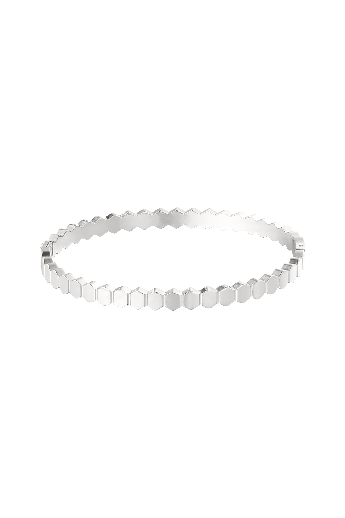 Silver Color Picture2