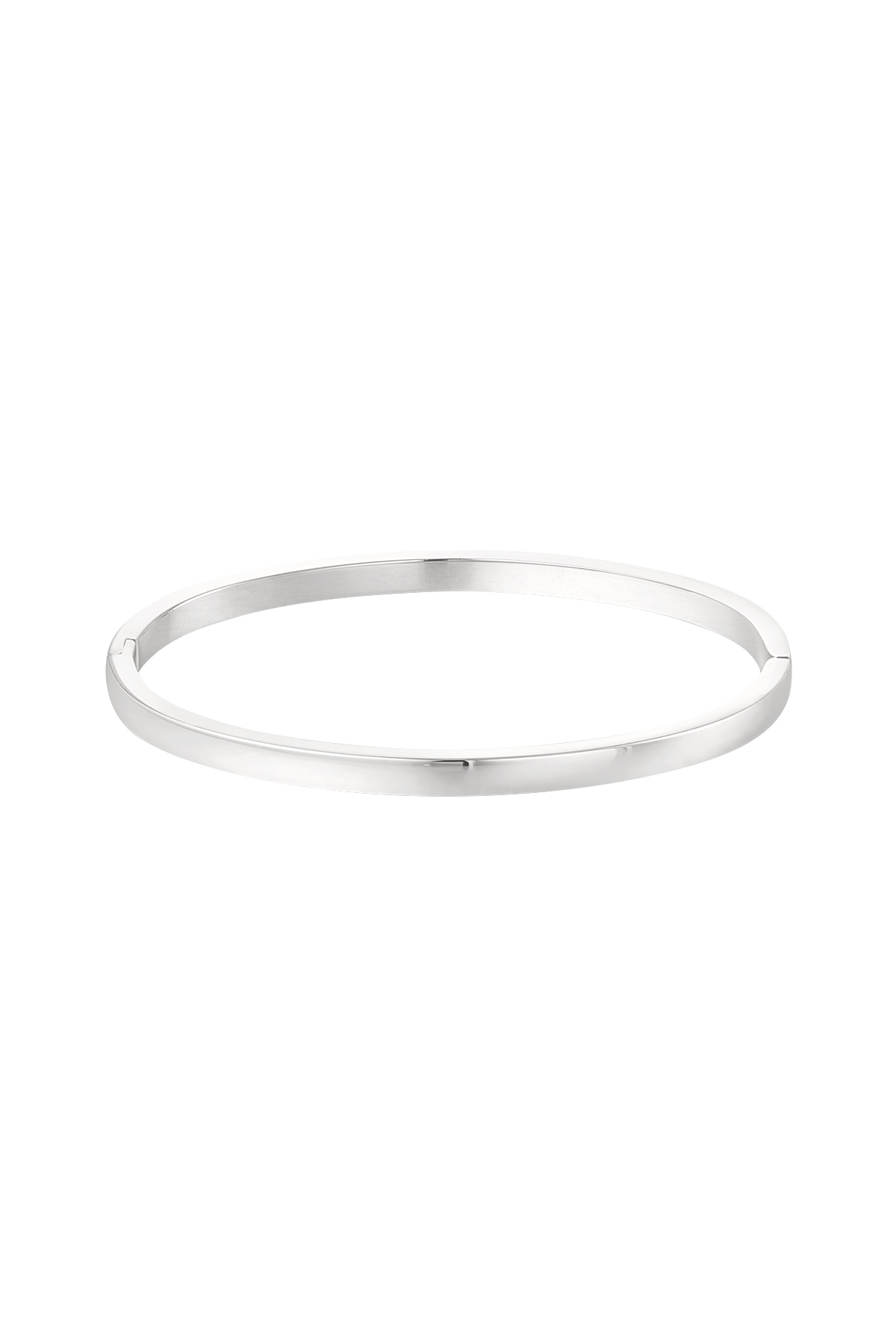 Silver Color Picture2