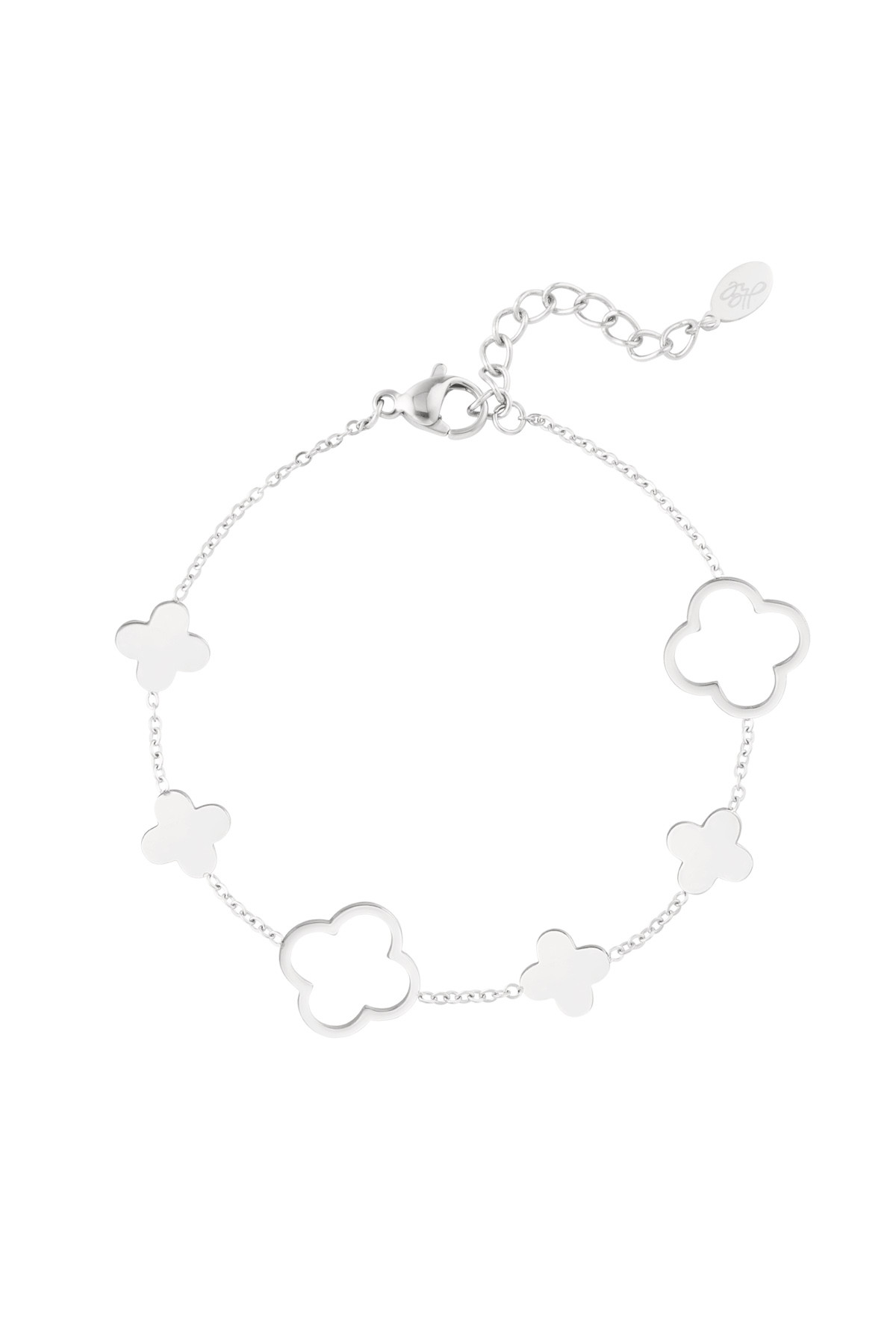 couleur argent Image2