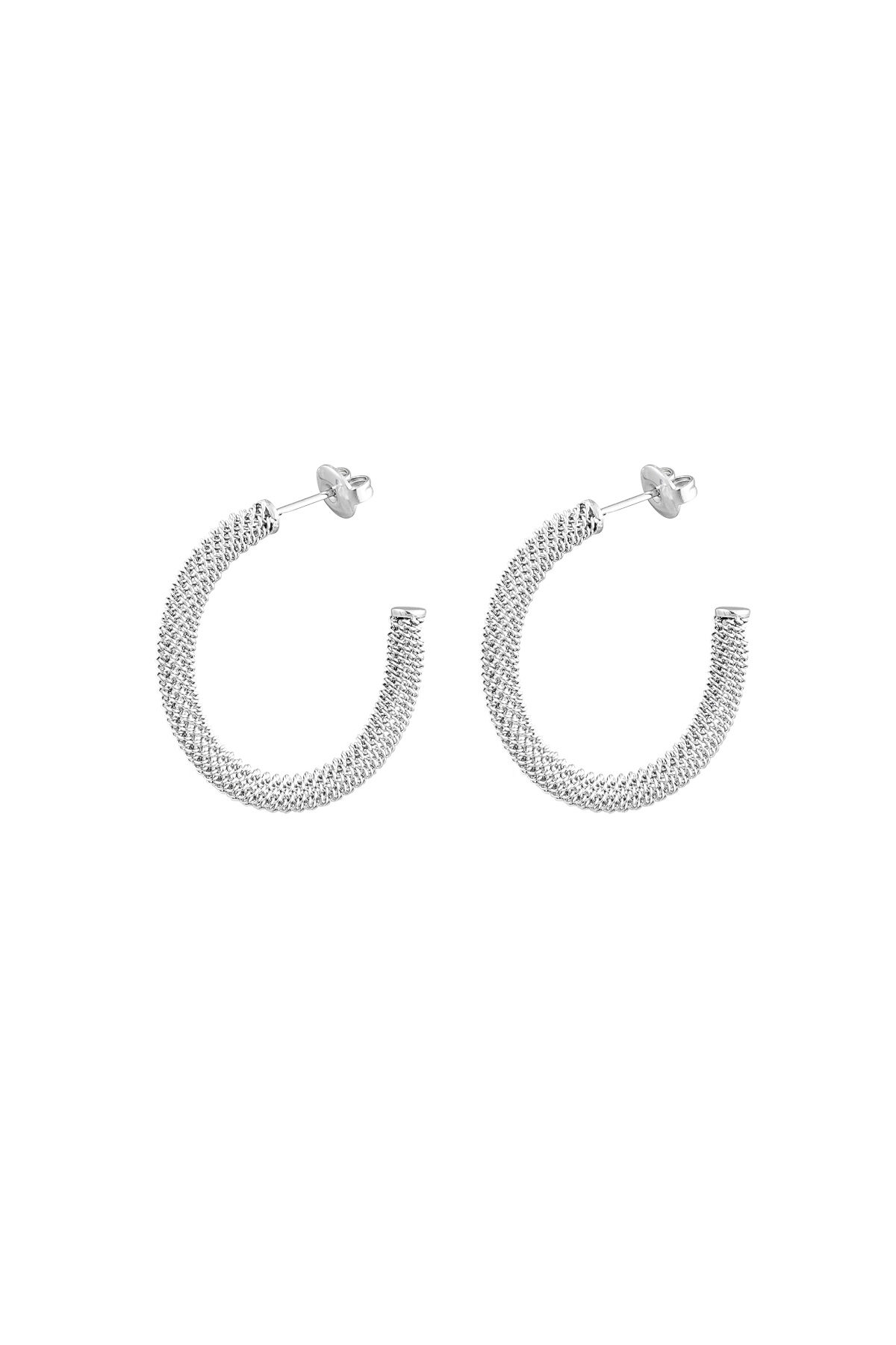 Silver Color Picture2