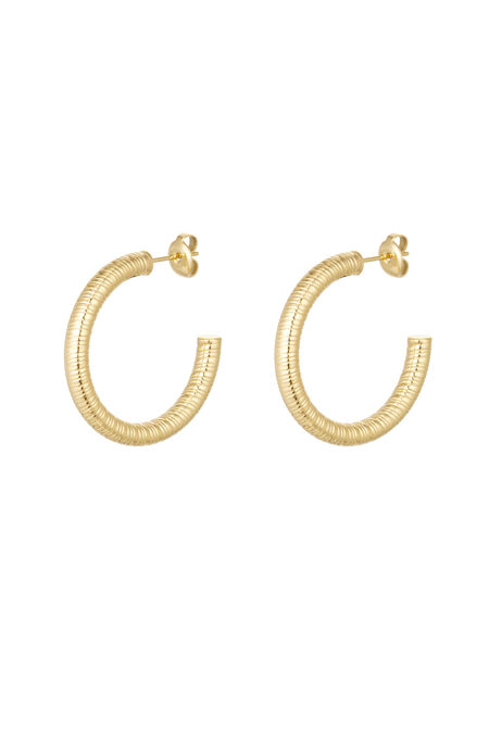 earrings striped print