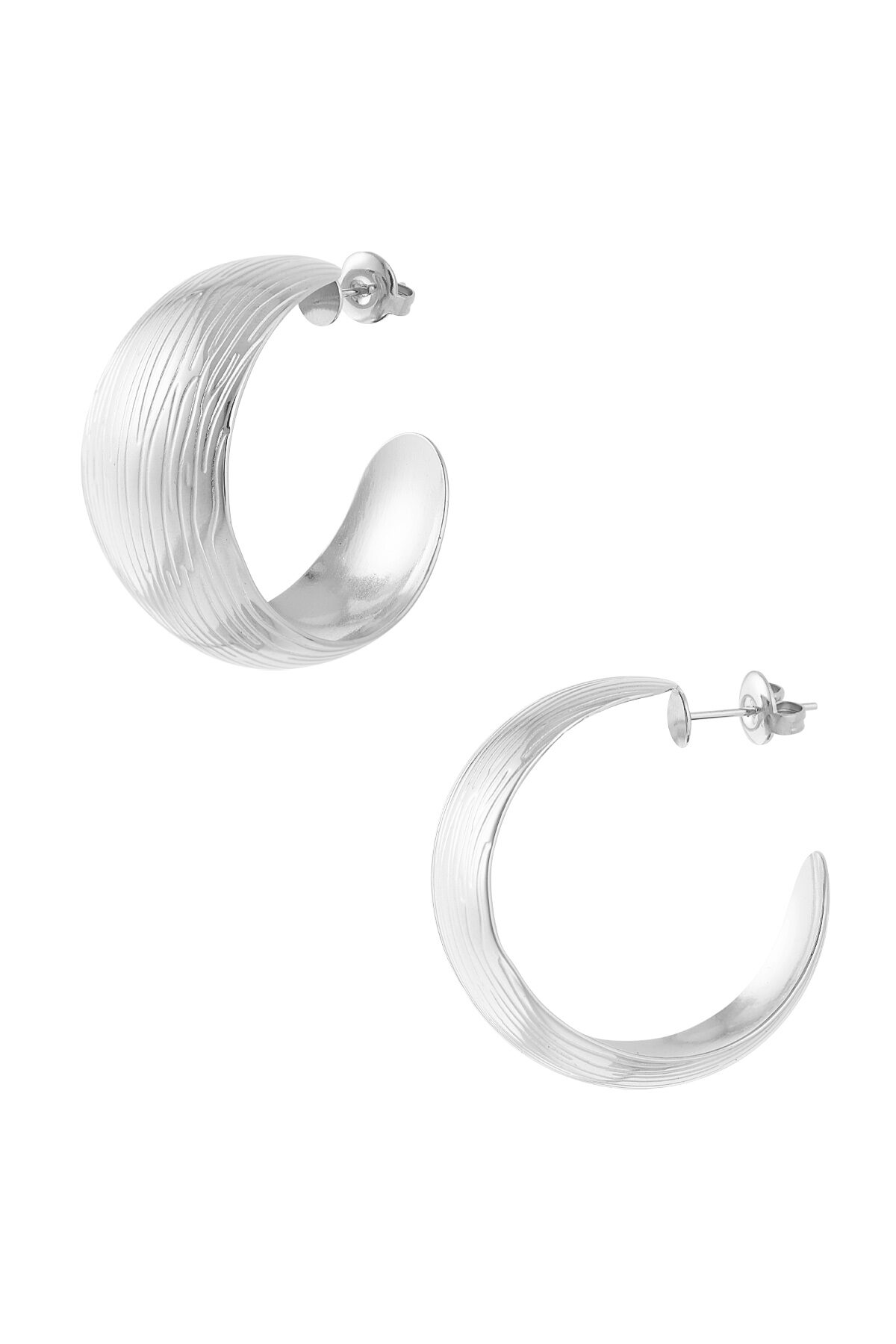Silver Color Picture2
