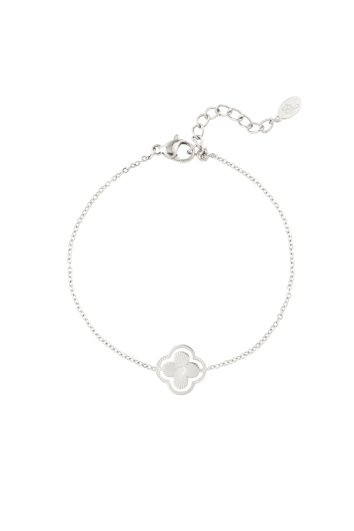 couleur argent Image2