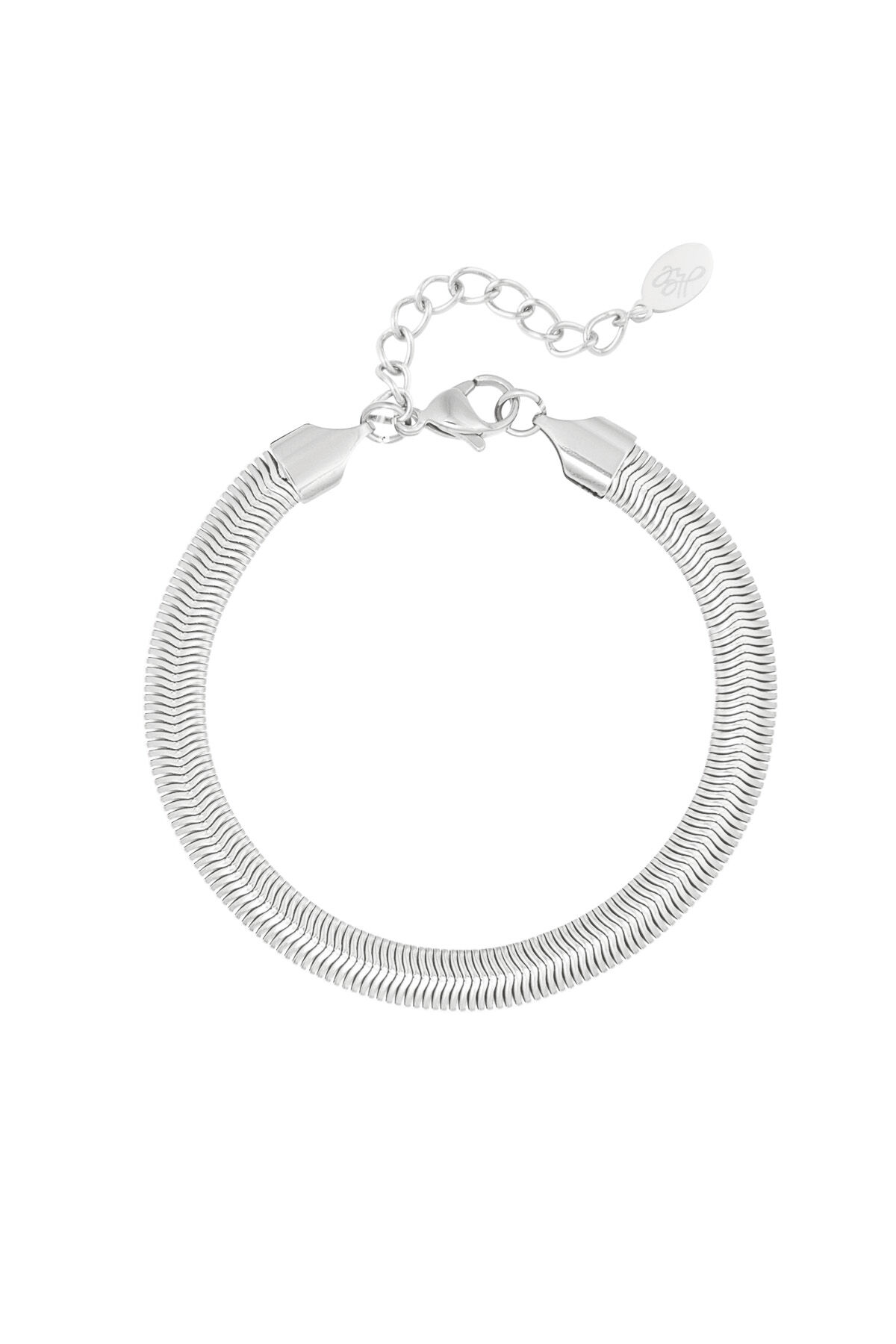 Silver Color Picture2