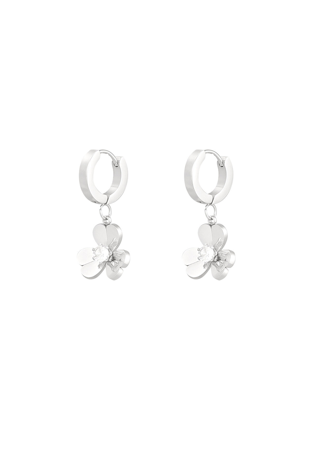 couleur argent Image2