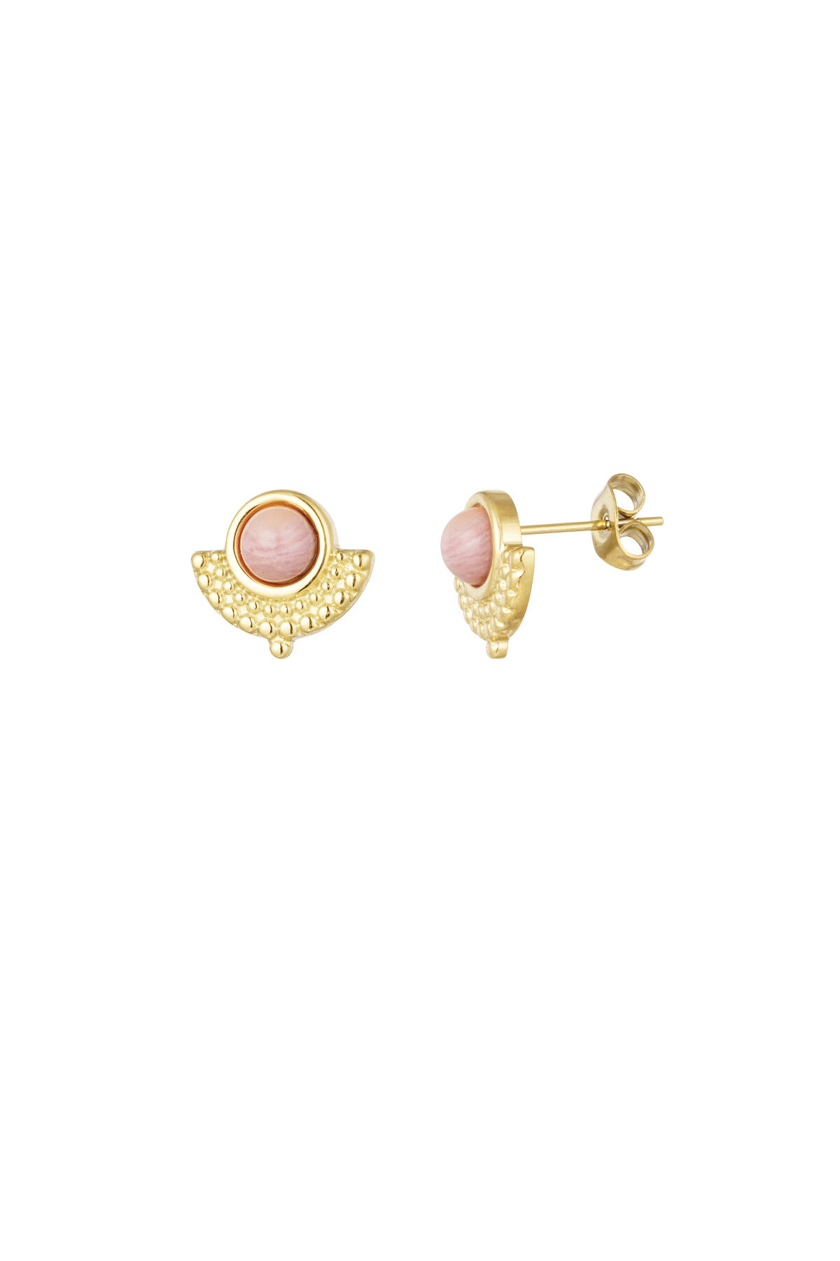 Rosa Imagen2