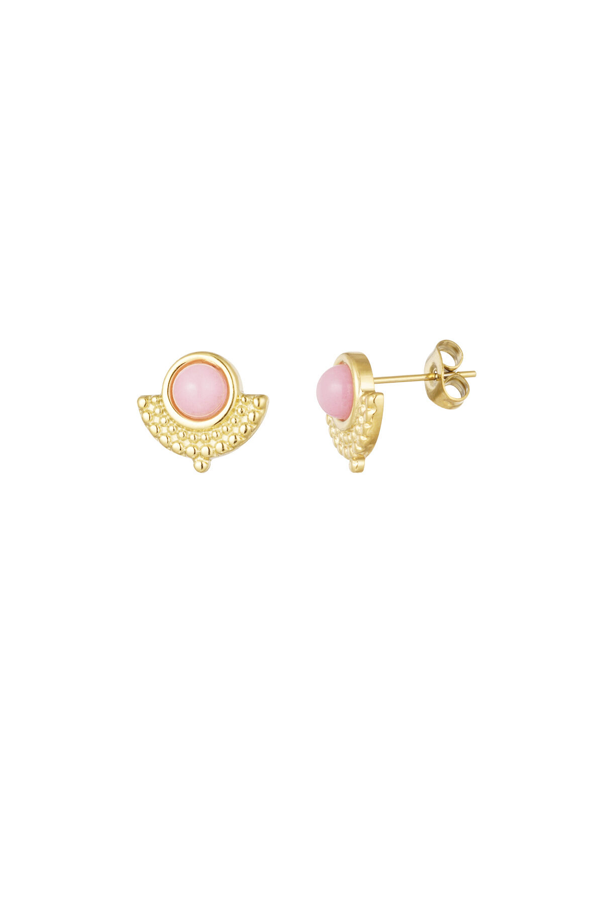 Rosa Imagen3