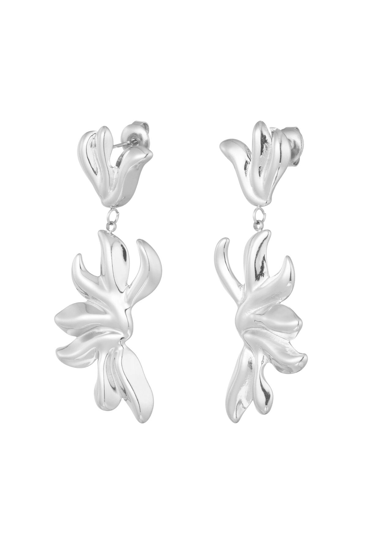 Silver Color Picture2