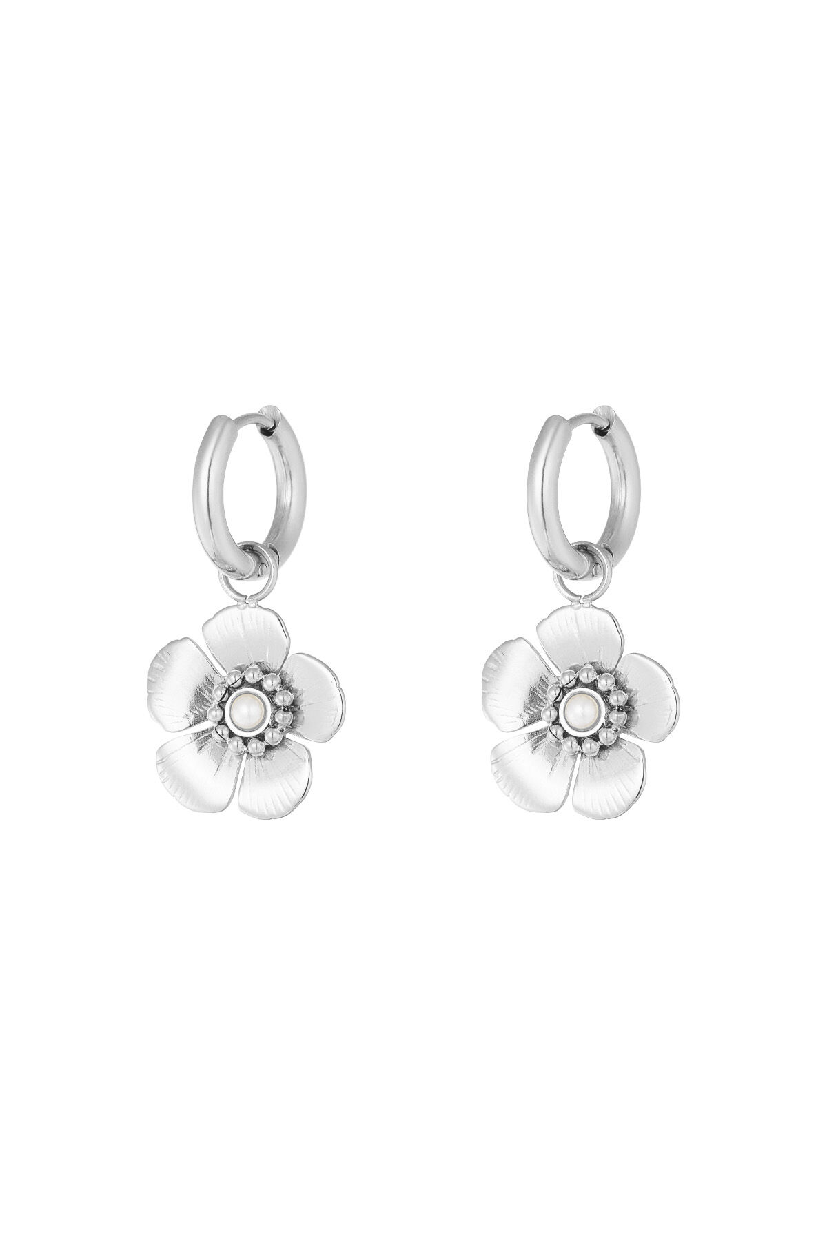 Silver Color Picture2